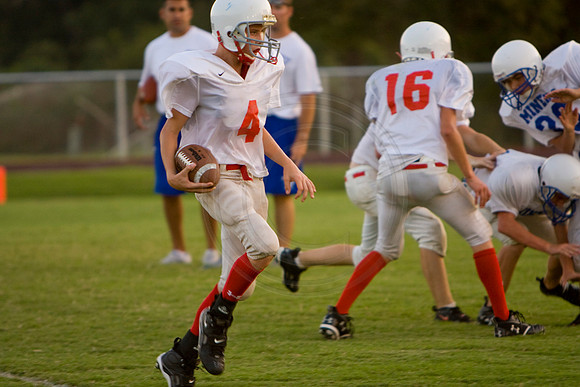 Panthers035