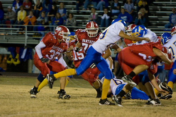 Panthers354