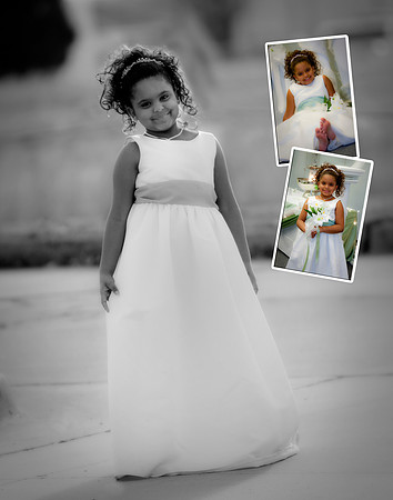 Fenton519 composite