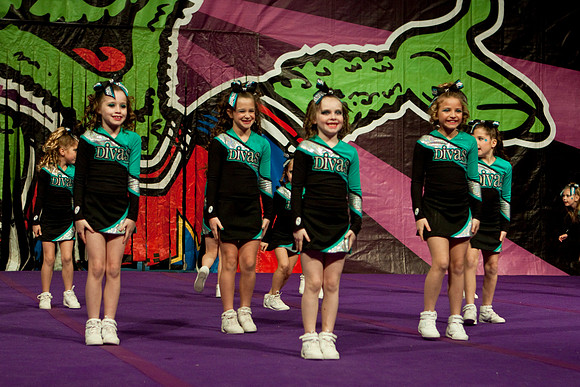 Divas5816-8