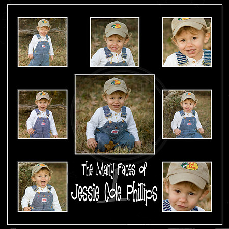 Jessie composite