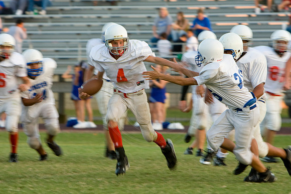 Panthers028