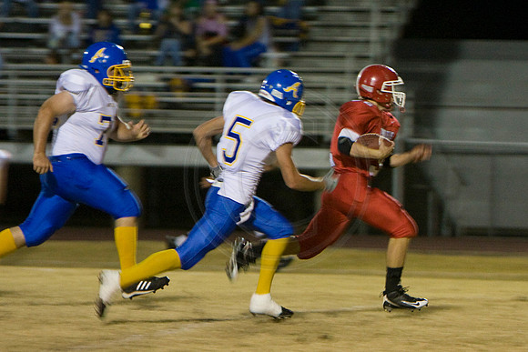 Panthers323