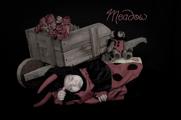 Meadow200ed