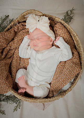 IM1_0291 Brightyn_1 ed